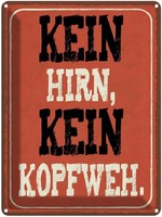 Blechschild 40X30 Cm Kein Hirn Kopfweh Dekoration Spruch Zitat Deko Geschenk Met