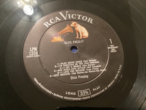 ELVIS PRESLEY SELF TITLED 1956 LP RCA LSP 1254RE DEBUT,1ST ALBUM,VG /FREE P&H - Imagen 9 de 14