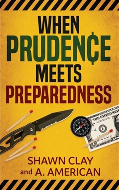 When Prudence Meets Preparedness (Paperback or Softback)