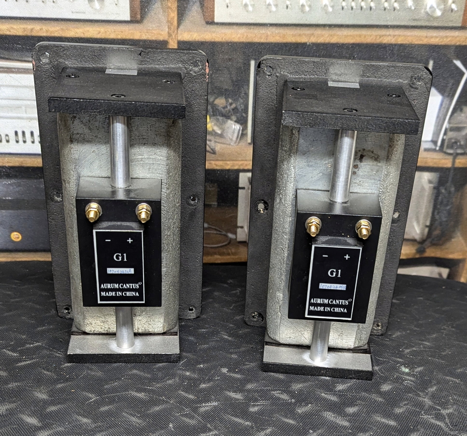 Cantus Audio Aurum Cantus G1 Ribbon Tweeter Arnum Cantus G1 Ribbon