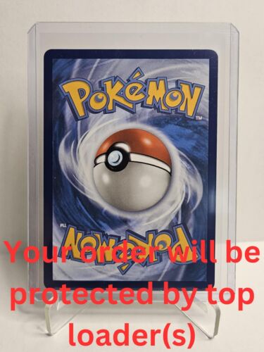 Pokemon TCG Palafin SVP036 Black Star Promo Obsidian Flames Pre Release - Picture 3 of 5