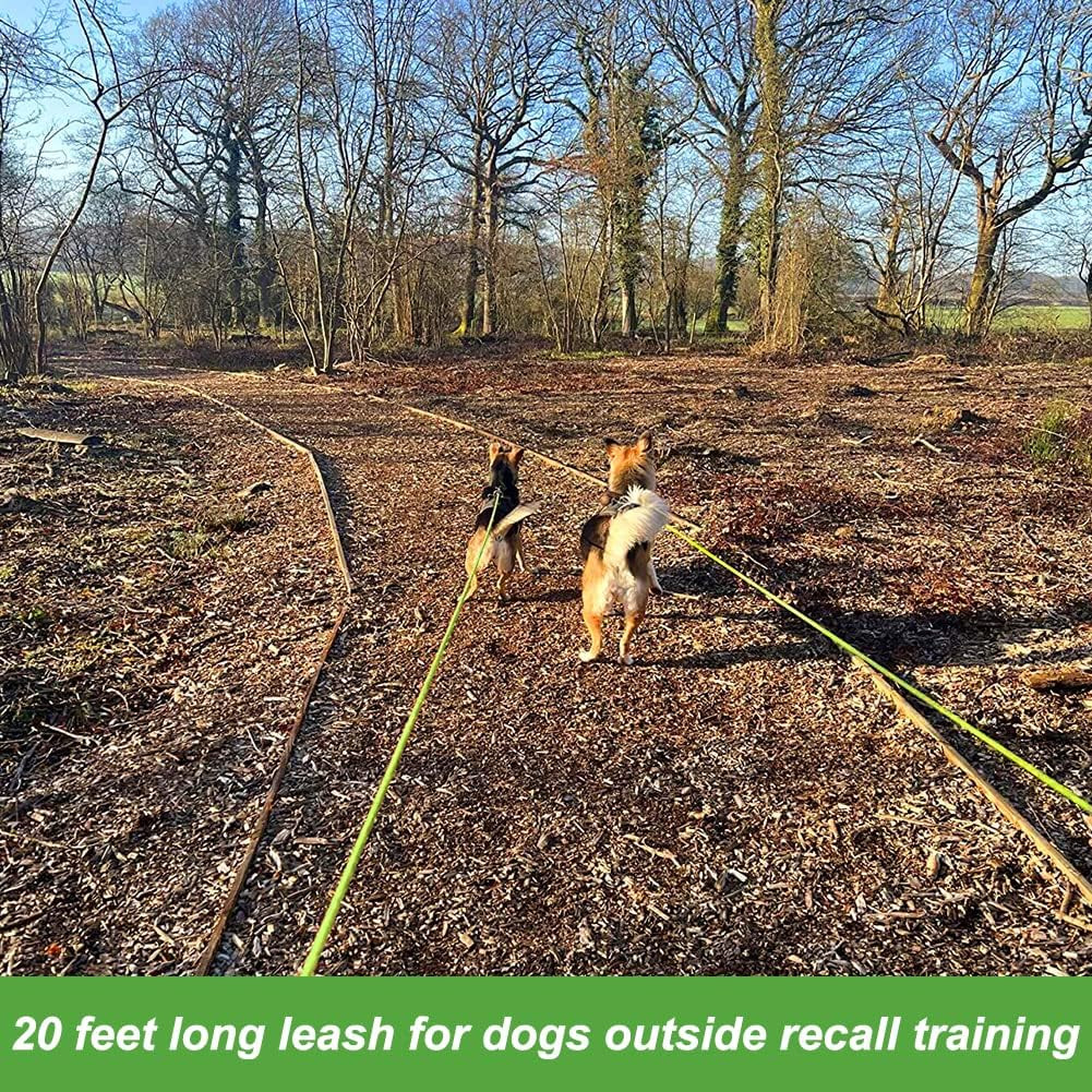 Vivifying Floating Long Dog Leash, 20Ft Dog Training Leash for Swimming