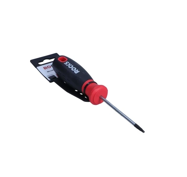TOURNEVIS TORX T10X80 MM - Photo 1/1