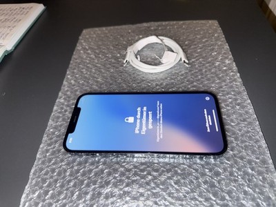 Apple Iphone 13 Pro Max 128GB blau Icload sperre ( DEFEKT ) sonnst  