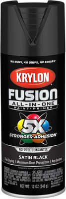 Fusion All-In-One Adhesive Spray Paint for Indoor/Outdoor Use, 12 Oz, Black
