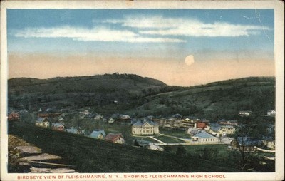 Fleischmanns NY New York High School Birdseye View c1900-20s Vintage Postcard