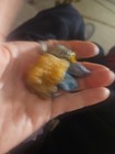 Gemstone Lot Assorted Loose Stones Jewelry Making Gems Rocks Fossils #2 — photo 6