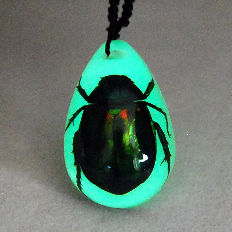 Real 2024 insect jewelry