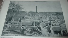 1892 Antique Print EGYPTIAN CEMETERY ALEXANDRIA EGYPT Pompey's Column Photo