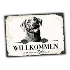 Hundeschild Willkommen Zuhause Labrador Labby No.3 Dog Schild Spruch Türschild W