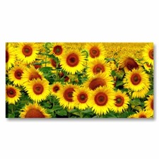 Girasoli - quadro su tela 90x45 cm stampa fiori arredo rustico cucina soggiorno