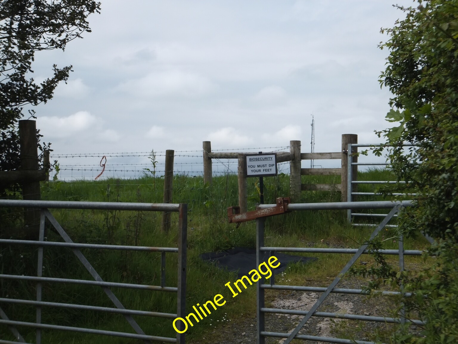 Rowden\/sx6498 The Weath C2014