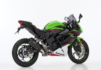 Auspuff Shark DSX-10 Slip On (1-1) Super Short FüR Kawasaki Ninja 125 Bj. 21-23