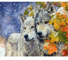 Paint By Numbers Adults kids Snow Wolf Animals DIY Painting Kit 40x50CM Canvas