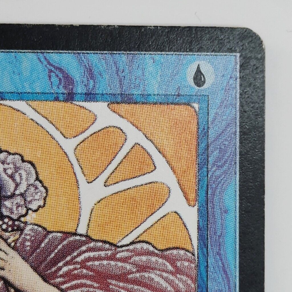 Picture 6 of 13
