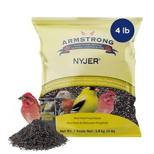 Armstrong Wild Bird Food Nyjer Bird Seed for Finches, 4lb, for Outside Birds