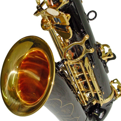 Karl Glaser Alt Saxophon schwarz gold + Koffer + Mundstück + Blättchen, Neu+OVP