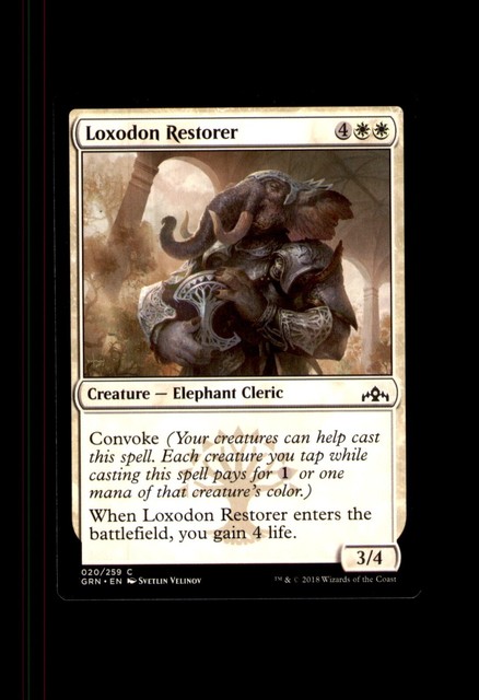 Magic the Gathering Smelt-Ward Gatekeepers - Guardacancelli della