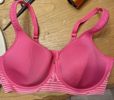 NEW Breezies Women s 44B Floral Stripe Seamless Underwire T-Shirt Bra Pink Z9