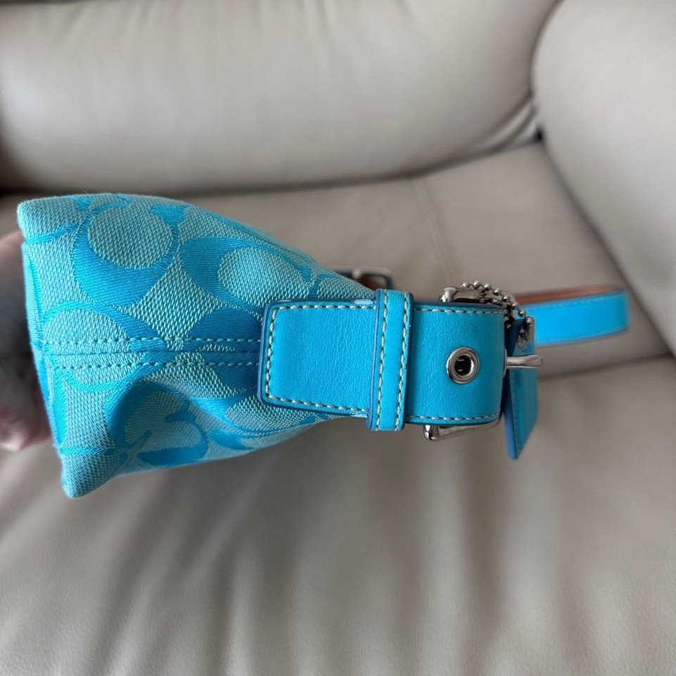 Coach Signature Shoulder Bag Light Blue Canvas Leather Tassel Demi ...