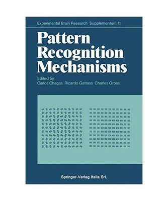 Pattern Recognition Mechanisms