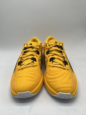 Nike Zoom Freak 5 TB Promo University Gold Shoes FN7089-701 Men's