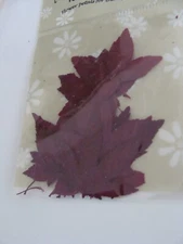 NEW SEALED Pressed Dried Real Leaves Flowers Confetti Maple Leaf 560X 
