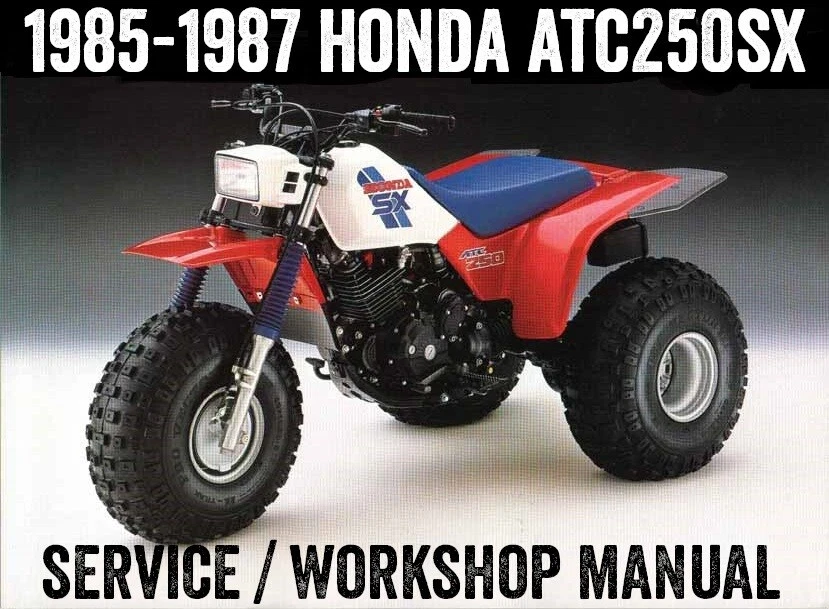 Honda sale 250 trike