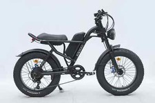 Ebike - 750W Motor,48V15.6Ah Battery, Max Speed 28MPH