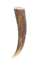 Scottish Traditional Staghorn Tip Kilt Pin Accessories for Men with Gift Box