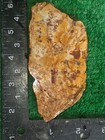 rough slab Brecciated Jasper 155g. 5/16" Thick Lapidary Cabbing #B-5 — photo 2