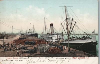 New Orleans LA Levee Scene Mississippi River Steamboats Ship Waterfront Postcard