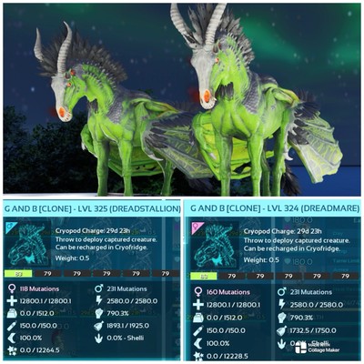 Ark Survival Ascended PVE TOP STAT MONSTER DREADMARE PAAR XBOX/PC/PS5