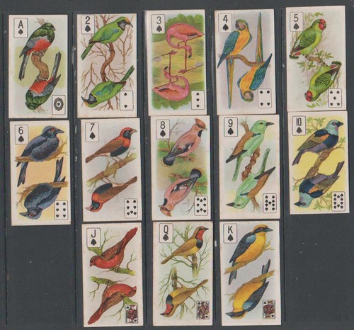 ZIGARETTENKARTEN Wills 1924 Vögel des strahlenden Gefieders (p/c Einsatz) - Pik x 13