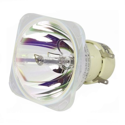 Philips E20.9 260W/220W 0.8 IC AC Bare Projector Lamp (9284 438 05390)