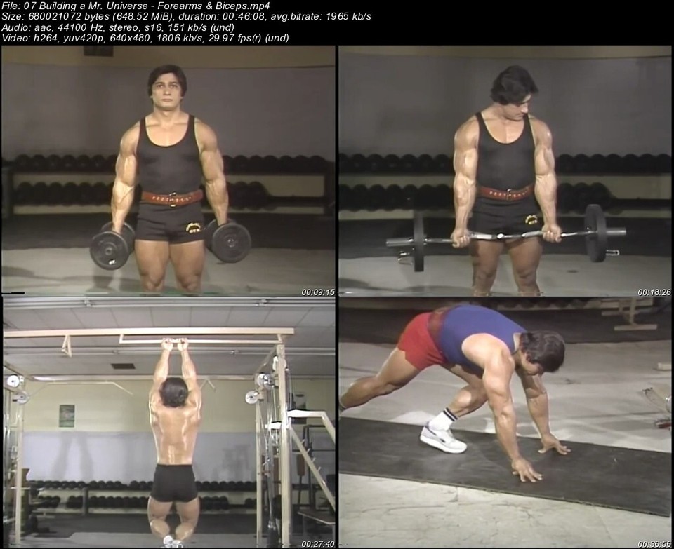 Secrets of Successful Bodybuilding starring Danny Padilla (13 DVD Set ...