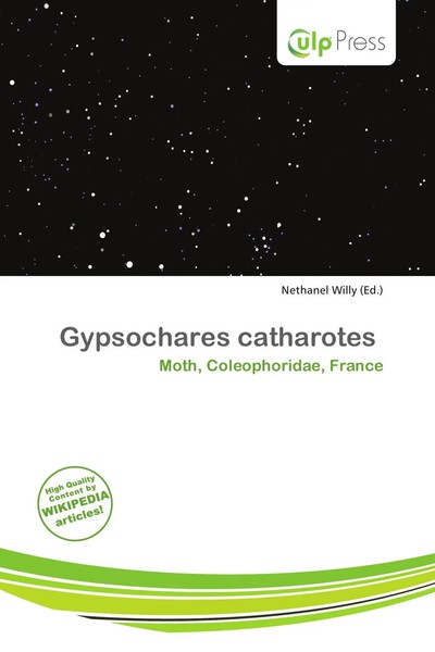Nethanel Willy | Gypsochares Catharotes | Taschenbuch | Englisch (2026)-image