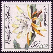 3278 Blattkakteenzüchtungen 50 Pf Franzisko, postfrisch **