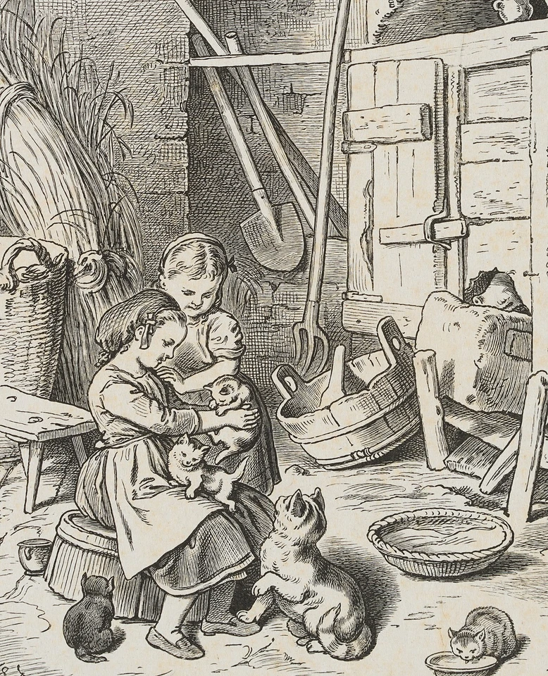 PINCKE (19.Jhd) nach PLETSCH (*1830), Mädchen mit Kätzchen im Keller, 1872, HSt - Bild 3 von 4
