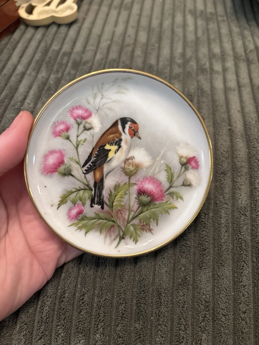 Kaiser Germany Porcelain Plate In Decorative Collector Plates for Kaiser Germany Porcelain Plate In Decorative Collector Plates for