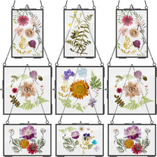 9 Pcs Glass Frame for Pressed Flowers 6X4 4X6 6X6 in Black Hanging Picture Frame