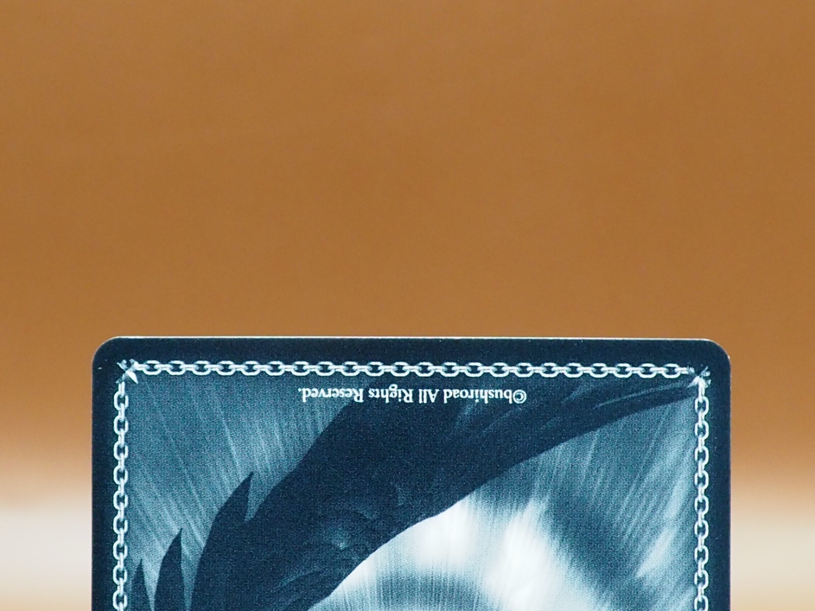 Picture 6 of 6