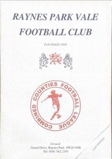 Raynes Park Vale V Leatherhead - 1995/96 Surrey Senior Cup - 31st October 1995
