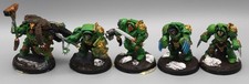 Space Wolves 5x Wolf Guard Terminators Painted 2699