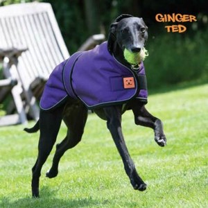 whippet rain jacket