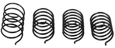 SLP High Performance Driven Clutch Spring 40-43