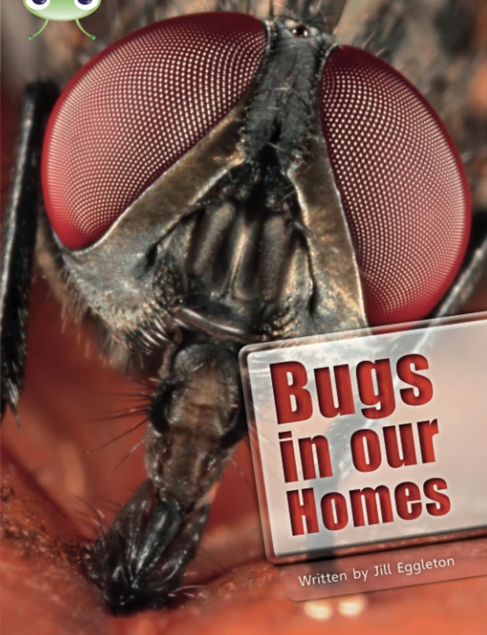 Bug Club Independent Non Fiction Year Two Lime A Bugs In Our Homes Jill Eggleton - Image 3