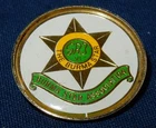 WW2 THE BURMA STAR ASSOCIATION ENAMEL MILITARY PIN BADGE GEORGE VI CYPHER