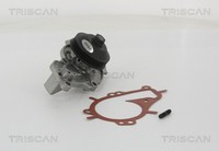 Triscan Wasserpumpe MotorküHlung 8600 10081 FüR Opel CitroËN Peugeot DS P17 P2QO