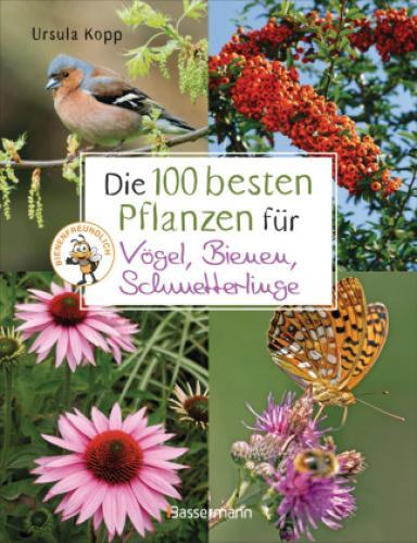 Die 100 Besten Pflanzen Für Vögel, Bienen, Schmetterlinge Mehr